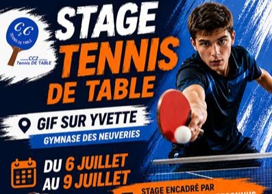 Stage Tennis de Table Juillet 2026