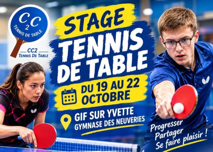 Tennis de Table stage vacances de Toussaint